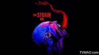 风筝视频播放器下载安装 