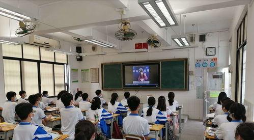 cf活动助手网页版 